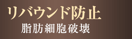 リバウンド防止 脂肪細胞破壊