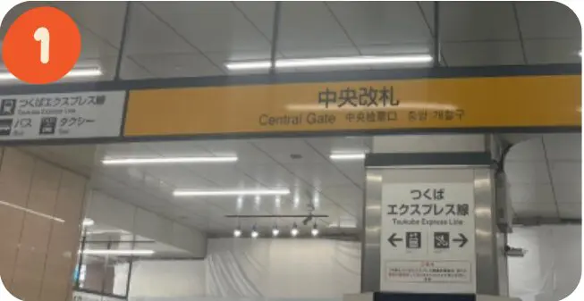 ルート