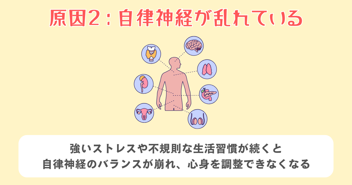 2：自律神経が乱れている