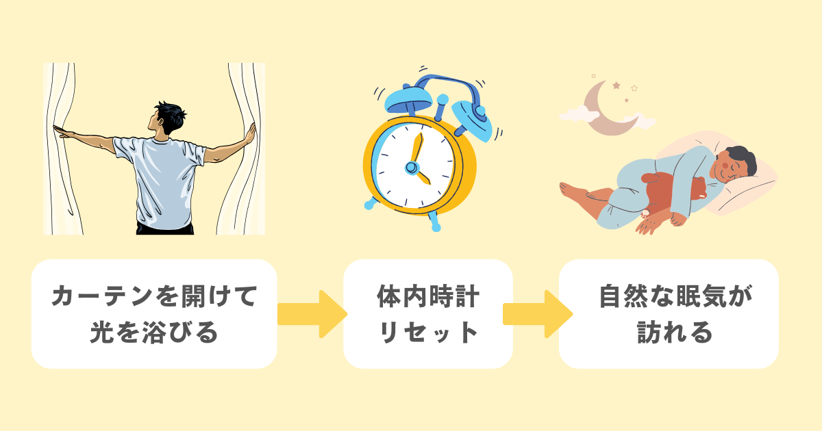 朝の光を浴びて体内時計をリセットする