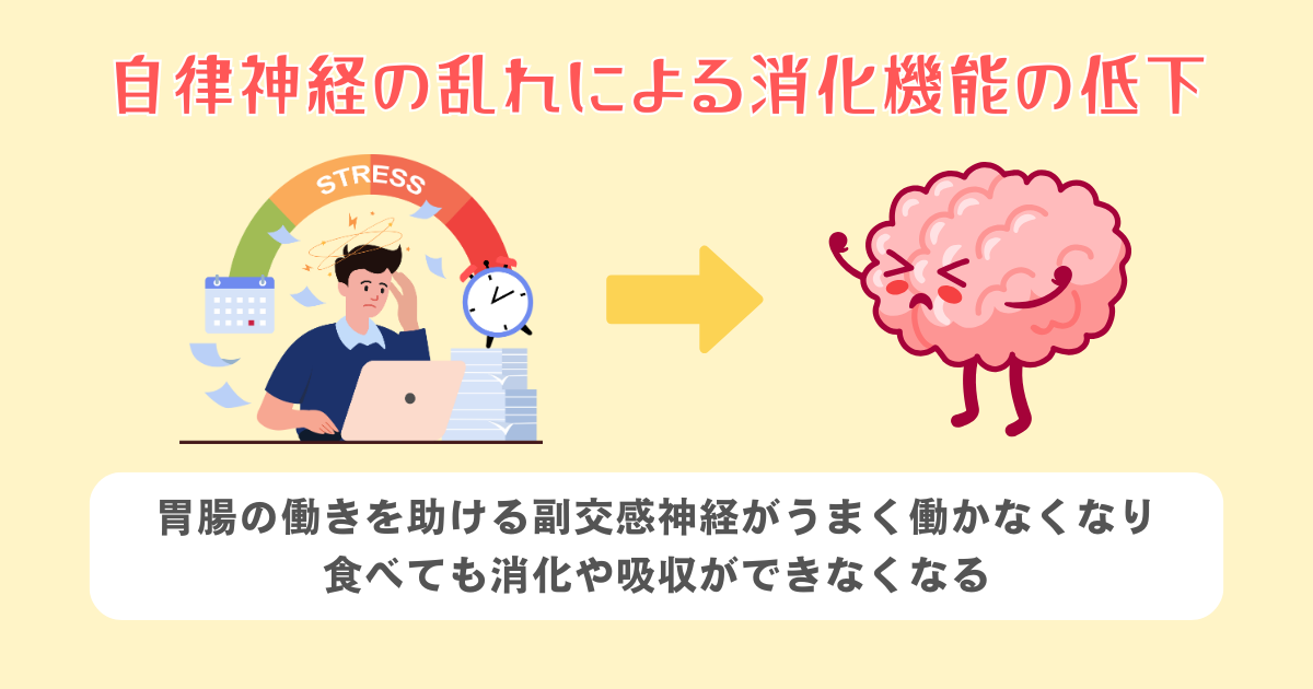 自律神経の乱れによる消化機能の低下