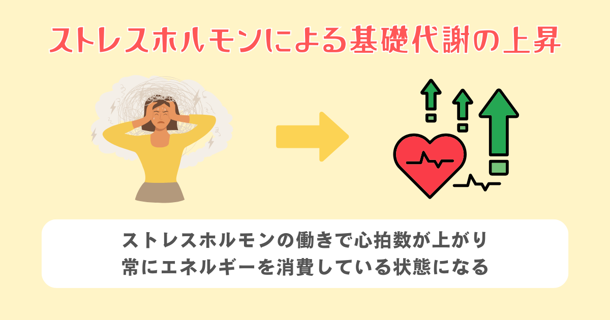 ストレスホルモンによる基礎代謝の上昇