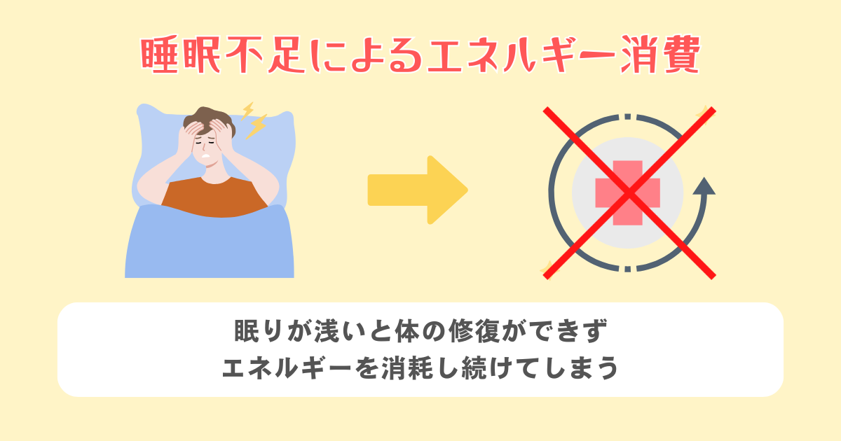 睡眠不足によるエネルギー消費