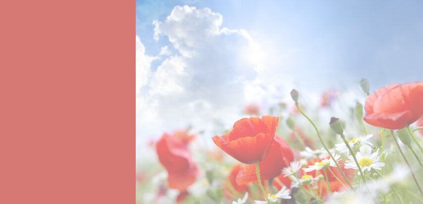 あやメンタル日本橋クリニック