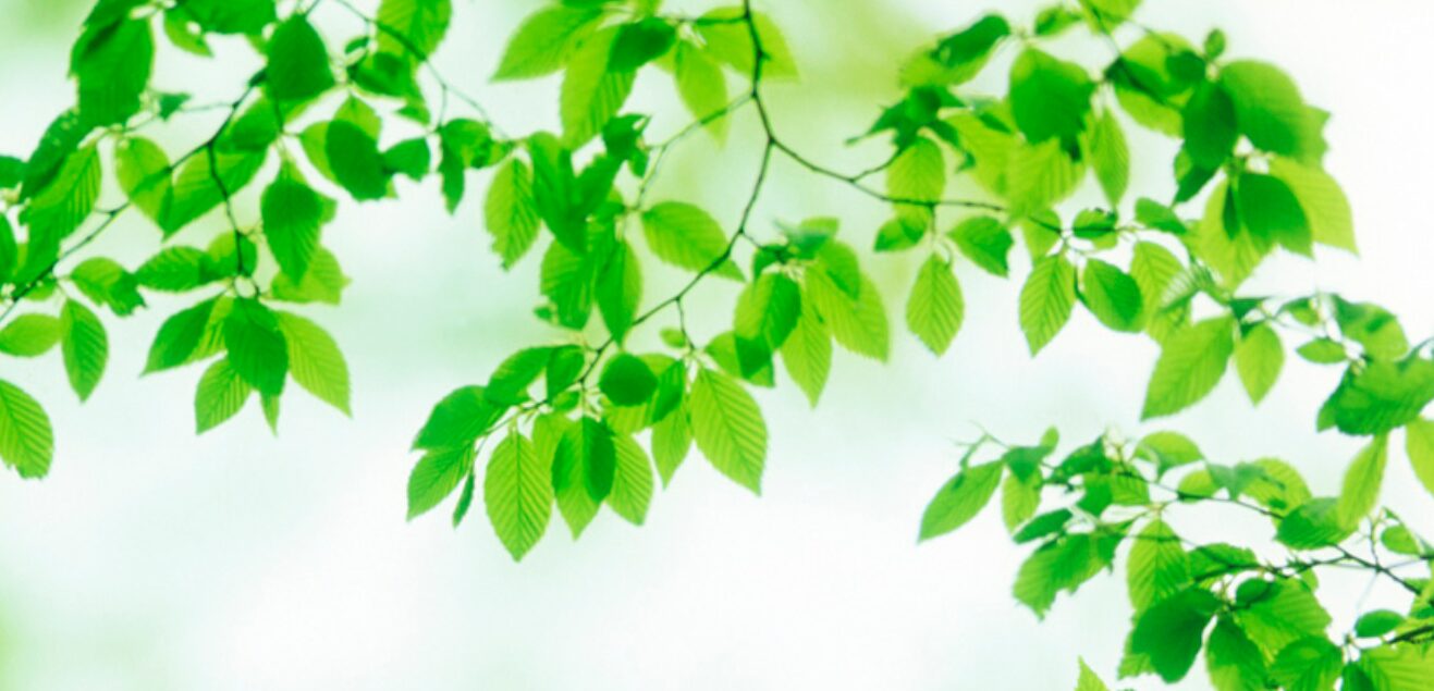 伊藤メンタルクリニック