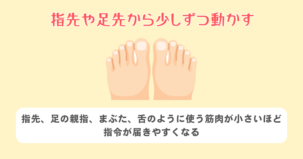 指先や足先から少しずつ動かす
