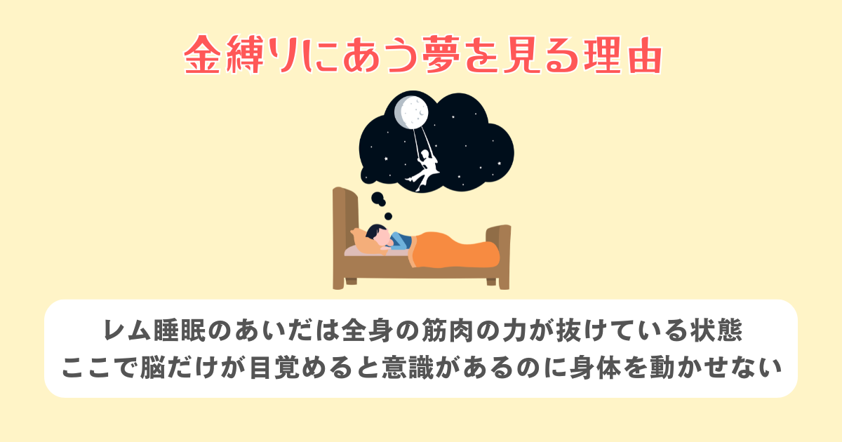 金縛りにあう夢を見る理由