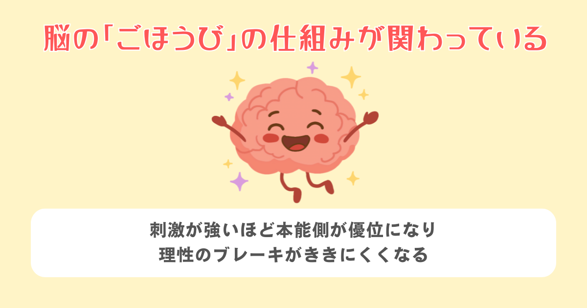 脳の「ごほうび」の仕組みが関わっている